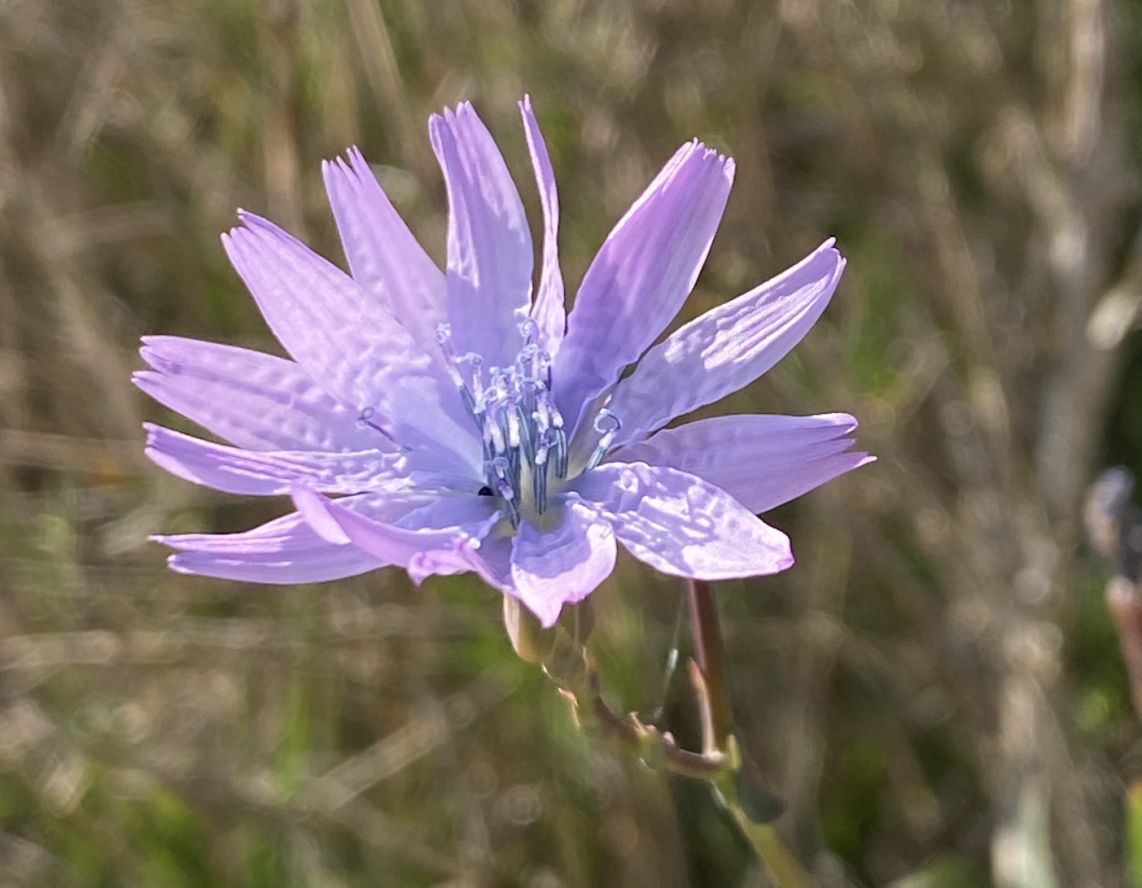 calendrier des stages