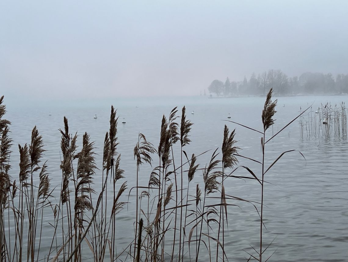 Lac d'annecy