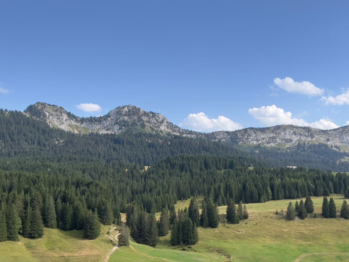 stage plateau des glieres