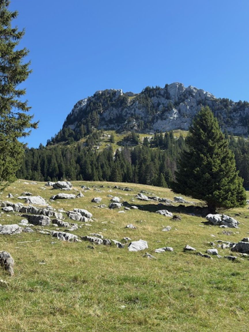 plateau des glières Thorens Glières